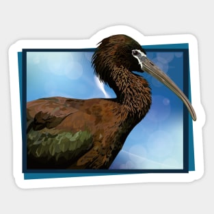 ibis Sticker